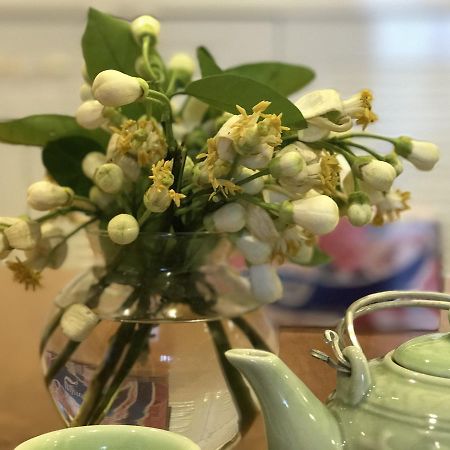 Luna'S Splendid Home ハノイ市 エクステリア 写真