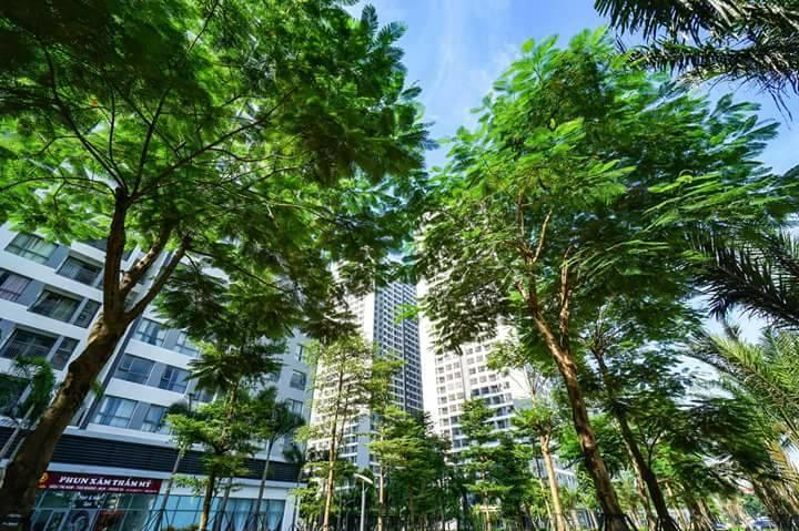 Luna'S Splendid Home ハノイ市 エクステリア 写真